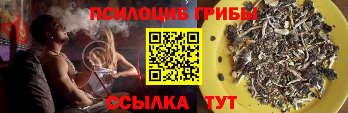 Псилоцибиновые грибы мицелий  Вход с VPN  Дальнегорск  Псилоцибиновые грибы мицелий 